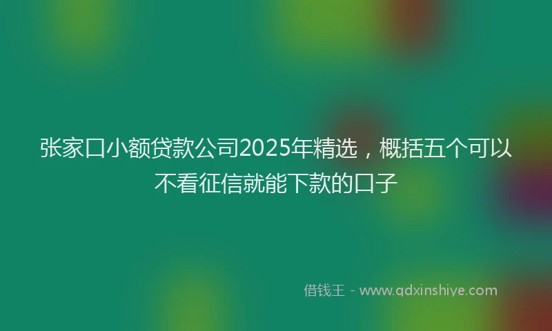 张家口小额贷款公司2025年精选，概括五个可以不看征信就能下款的口子