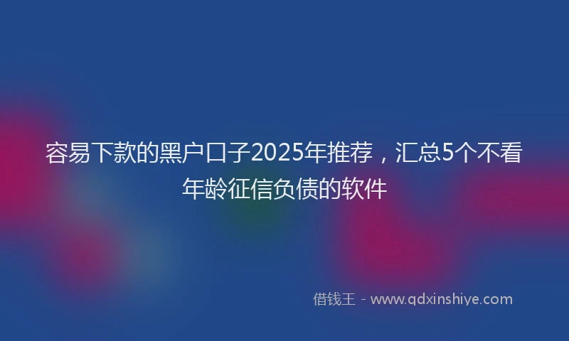 容易下款的黑户口子2025年推荐，汇总5个不看年龄征信负债的软件