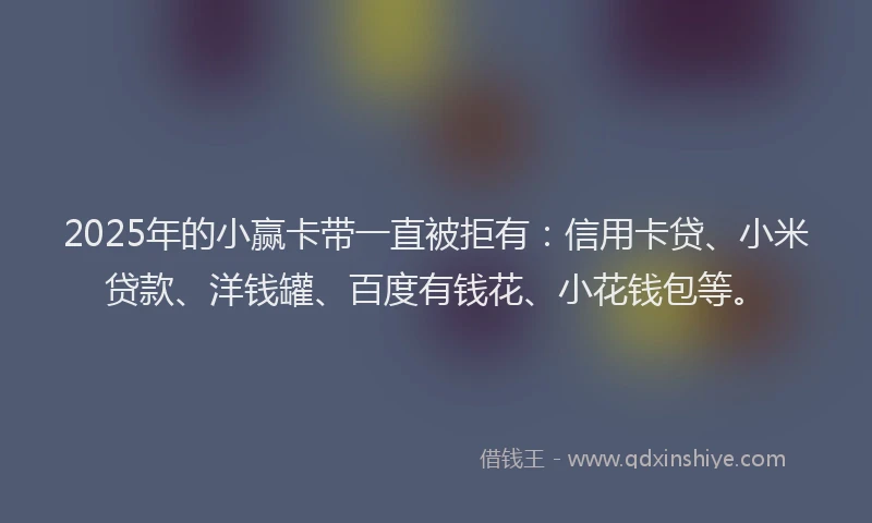 2025年的小赢卡带一直被拒有：信用卡贷、小米贷款、洋钱罐、百度有钱花、小花钱包等。
