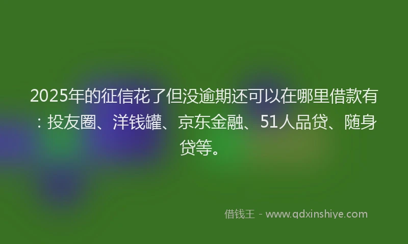 2025年的征信花了但没逾期还可以在哪里借款有：投友圈、洋钱罐、京东金融、51人品贷、随身贷等。