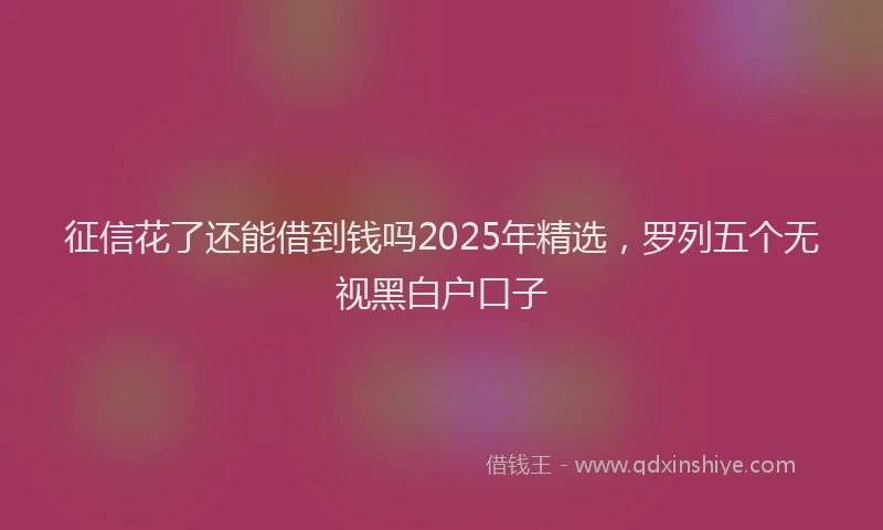 征信花了还能借到钱吗2025年精选，罗列五个无视黑白户口子