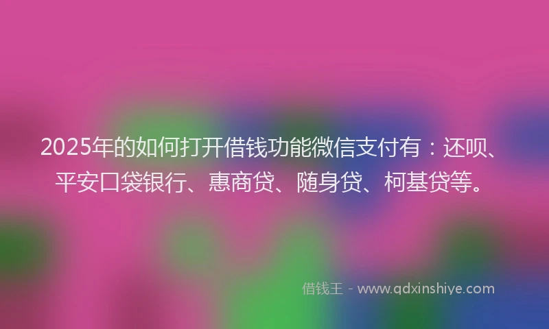 2025年的如何打开借钱功能微信支付有：还呗、平安口袋银行、惠商贷、随身贷、柯基贷等。