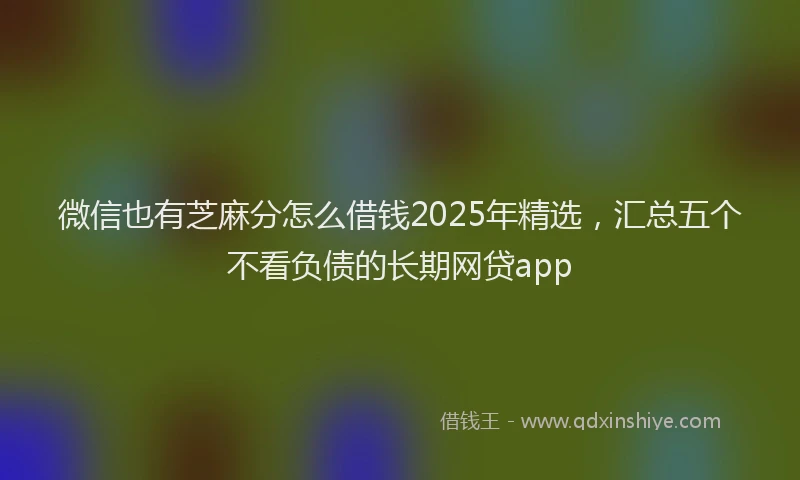 微信也有芝麻分怎么借钱2025年精选，汇总五个不看负债的长期网贷app