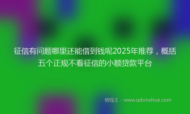征信有问题哪里还能借到钱呢2025年推荐，概括五个正规不看征信的小额贷款平台