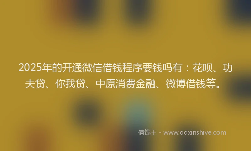 2025年的开通微信借钱程序要钱吗有：花呗、功夫贷、你我贷、中原消费金融、微博借钱等。