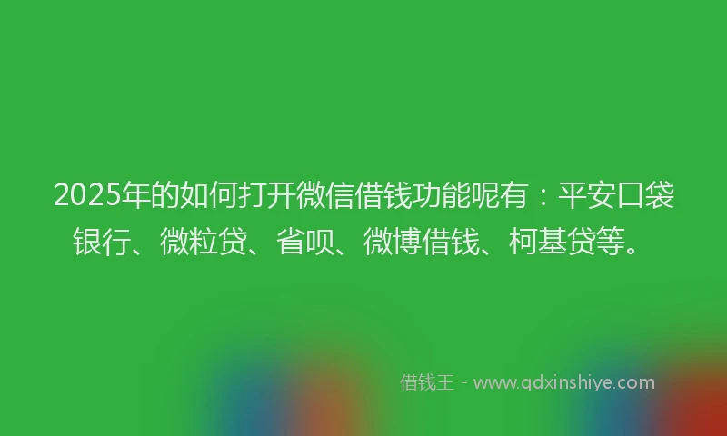 2025年的如何打开微信借钱功能呢有：平安口袋银行、微粒贷、省呗、微博借钱、柯基贷等。