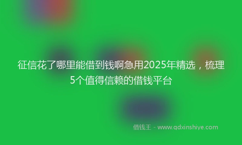 征信花了哪里能借到钱啊急用2025年精选，梳理5个值得信赖的借钱平台