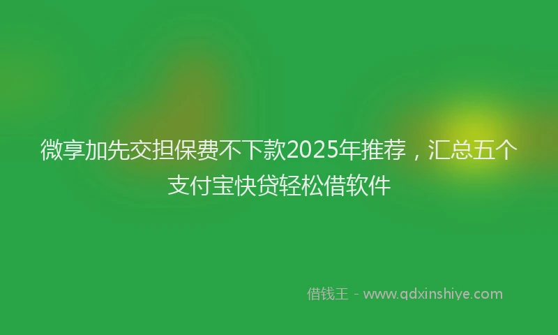 微享加先交担保费不下款2025年推荐，汇总五个支付宝快贷轻松借软件