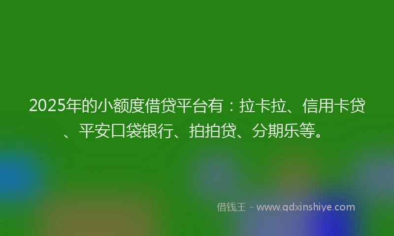 2025年的小额度借贷平台有：拉卡拉、信用卡贷、平安口袋银行、拍拍贷、分期乐等。