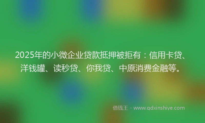 2025年的小微企业贷款抵押被拒有：信用卡贷、洋钱罐、读秒贷、你我贷、中原消费金融等。