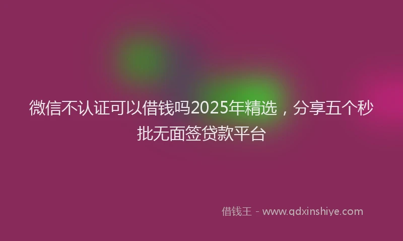 微信不认证可以借钱吗2025年精选，分享五个秒批无面签贷款平台