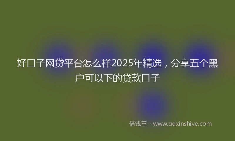 好口子网贷平台怎么样2025年精选，分享五个黑户可以下的贷款口子