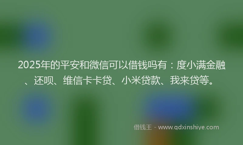 2025年的平安和微信可以借钱吗有：度小满金融、还呗、维信卡卡贷、小米贷款、我来贷等。