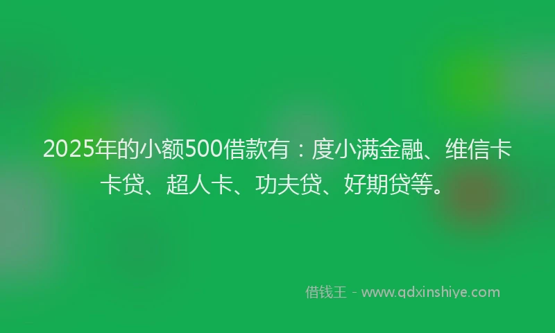 2025年的小额500借款有：度小满金融、维信卡卡贷、超人卡、功夫贷、好期贷等。