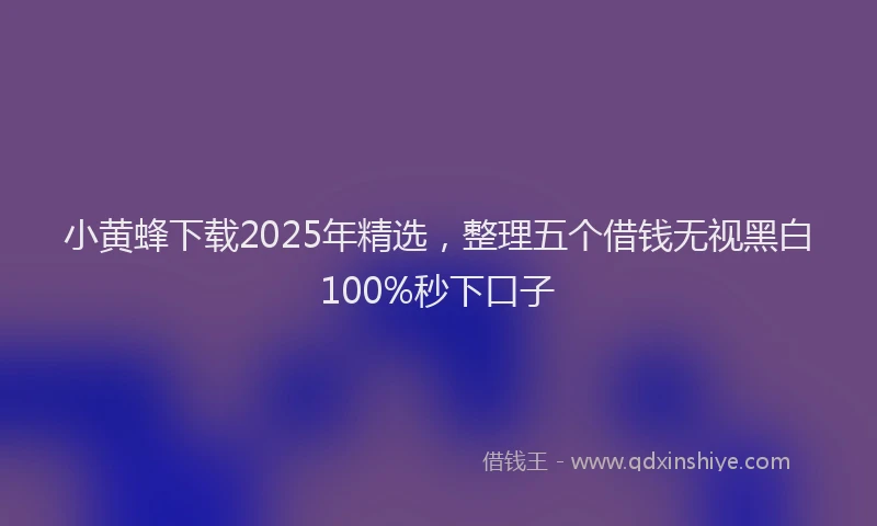 小黄蜂下载2025年精选，整理五个借钱无视黑白100%秒下口子