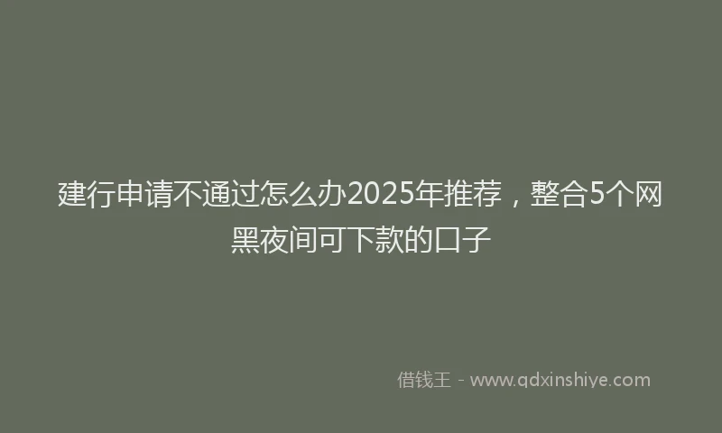 建行申请不通过怎么办2025年推荐，整合5个网黑夜间可下款的口子