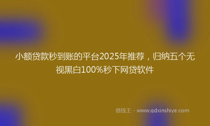 小额贷款秒到账的平台2025年推荐，归纳五个无视黑白100%秒下网贷软件