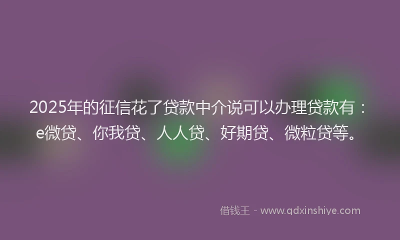 2025年的征信花了贷款中介说可以办理贷款有：e微贷、你我贷、人人贷、好期贷、微粒贷等。