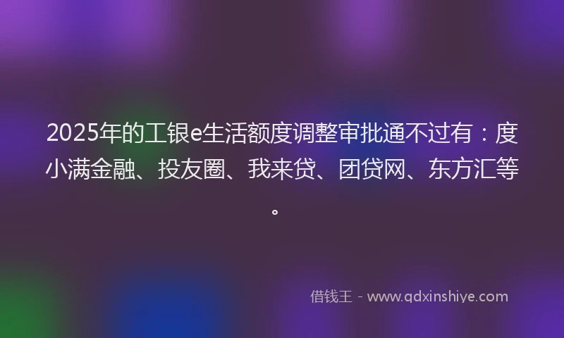 2025年的工银e生活额度调整审批通不过有：度小满金融、投友圈、我来贷、团贷网、东方汇等。