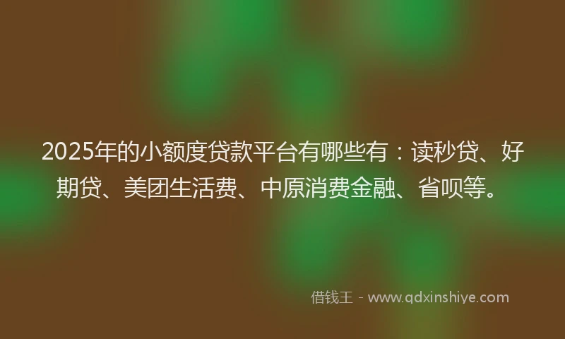 2025年的小额度贷款平台有哪些有：读秒贷、好期贷、美团生活费、中原消费金融、省呗等。