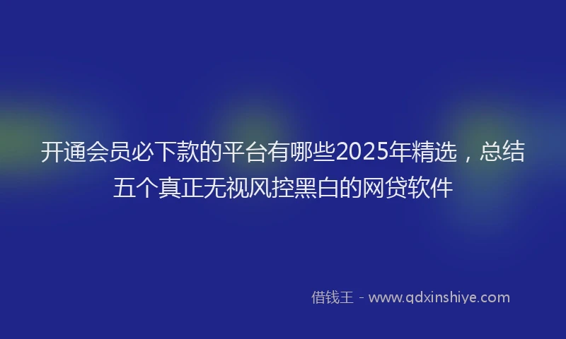 开通会员必下款的平台有哪些2025年精选，总结五个真正无视风控黑白的网贷软件