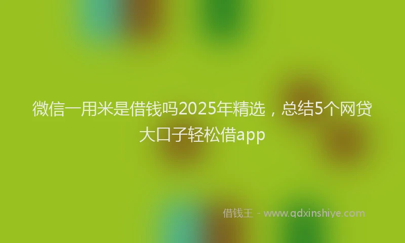 微信一用米是借钱吗2025年精选，总结5个网贷大口子轻松借app