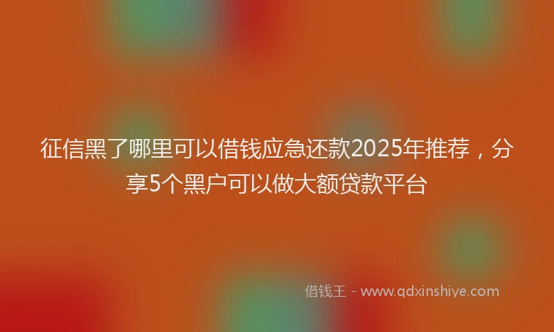 征信黑了哪里可以借钱应急还款2025年推荐，分享5个黑户可以做大额贷款平台