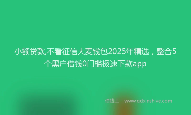 小额贷款,不看征信大麦钱包2025年精选，整合5个黑户借钱0门槛极速下款app