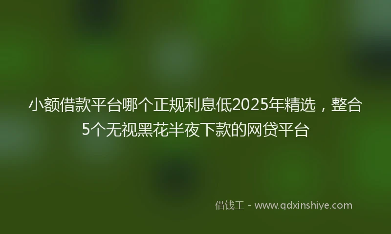 小额借款平台哪个正规利息低2025年精选，整合5个无视黑花半夜下款的网贷平台