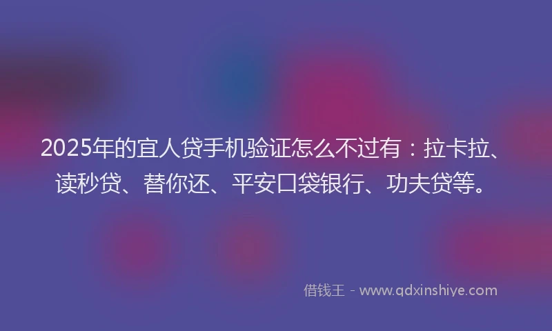 2025年的宜人贷手机验证怎么不过有：拉卡拉、读秒贷、替你还、平安口袋银行、功夫贷等。