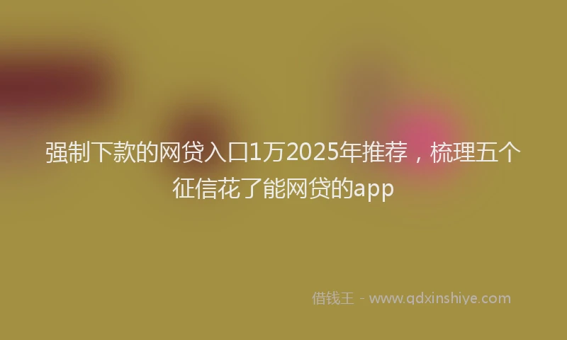 强制下款的网贷入口1万2025年推荐，梳理五个征信花了能网贷的app