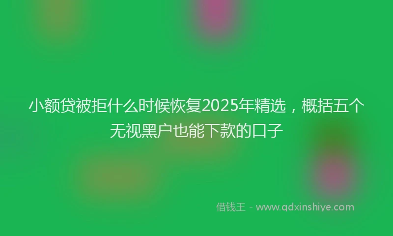 小额贷被拒什么时候恢复2025年精选，概括五个无视黑户也能下款的口子