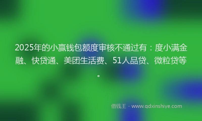 2025年的小赢钱包额度审核不通过有：度小满金融、快贷通、美团生活费、51人品贷、微粒贷等。