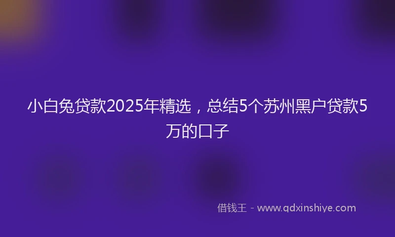 小白兔贷款2025年精选，总结5个苏州黑户贷款5万的口子