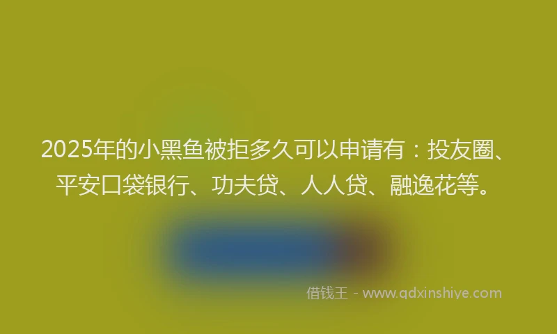 2025年的小黑鱼被拒多久可以申请有：投友圈、平安口袋银行、功夫贷、人人贷、融逸花等。