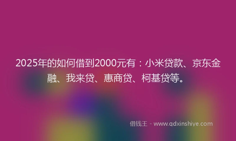 2025年的如何借到2000元有：小米贷款、京东金融、我来贷、惠商贷、柯基贷等。