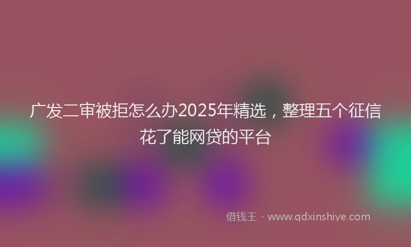 广发二审被拒怎么办2025年精选，整理五个征信花了能网贷的平台