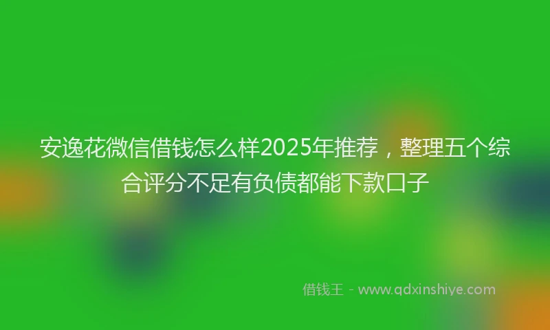 安逸花微信借钱怎么样2025年推荐，整理五个综合评分不足有负债都能下款口子