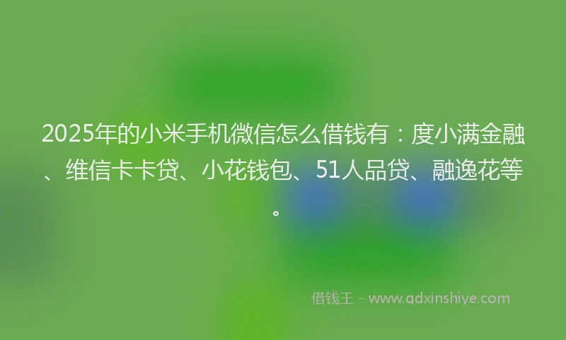 2025年的小米手机微信怎么借钱有：度小满金融、维信卡卡贷、小花钱包、51人品贷、融逸花等。