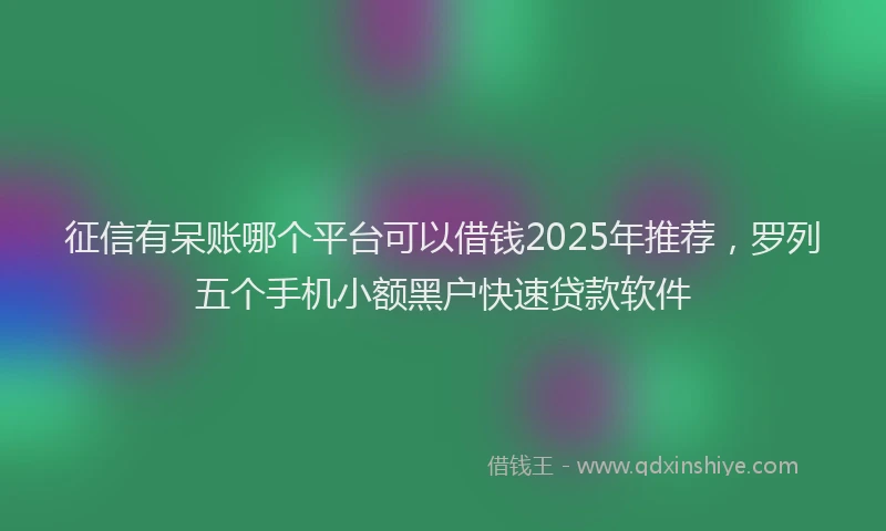 征信有呆账哪个平台可以借钱2025年推荐，罗列五个手机小额黑户快速贷款软件
