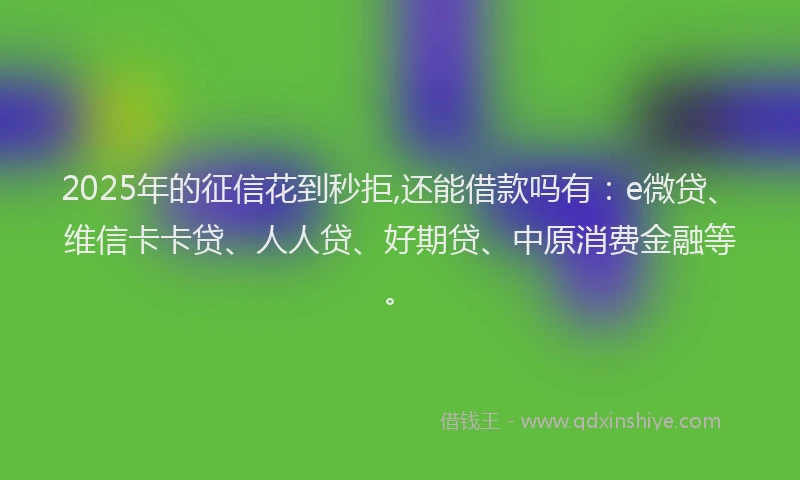 2025年的征信花到秒拒,还能借款吗有：e微贷、维信卡卡贷、人人贷、好期贷、中原消费金融等。
