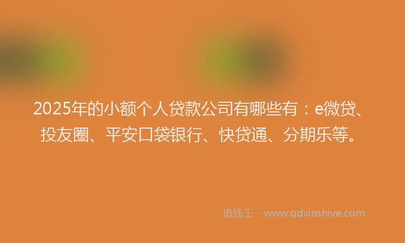 2025年的小额个人贷款公司有哪些有：e微贷、投友圈、平安口袋银行、快贷通、分期乐等。