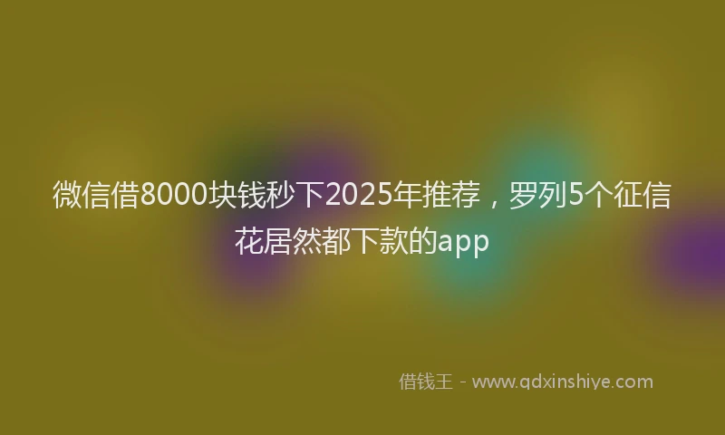 微信借8000块钱秒下2025年推荐，罗列5个征信花居然都下款的app