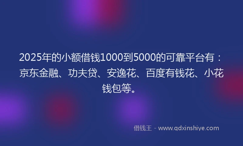 2025年的小额借钱1000到5000的可靠平台有：京东金融、功夫贷、安逸花、百度有钱花、小花钱包等。
