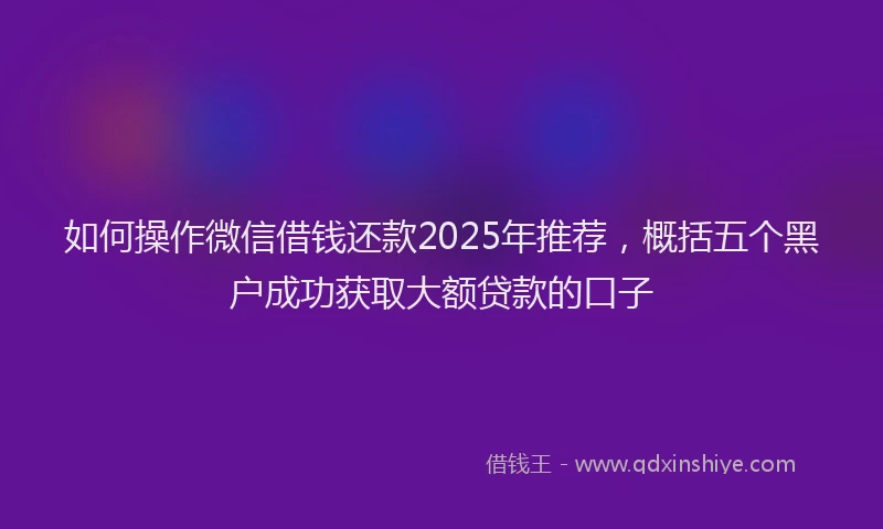 如何操作微信借钱还款2025年推荐，概括五个黑户成功获取大额贷款的口子