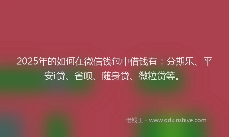 2025年的如何在微信钱包中借钱有：分期乐、平安i贷、省呗、随身贷、微粒贷等。
