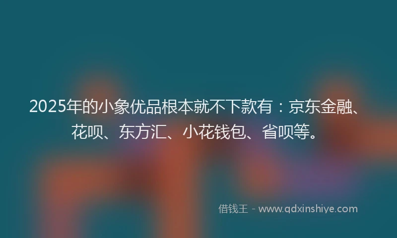 2025年的小象优品根本就不下款有：京东金融、花呗、东方汇、小花钱包、省呗等。