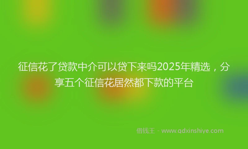 征信花了贷款中介可以贷下来吗2025年精选，分享五个征信花居然都下款的平台