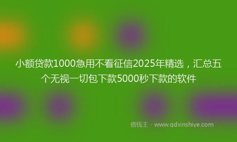 小额贷款1000急用不看征信2025年精选，汇总五个无视一切包下款5000秒下款的软件