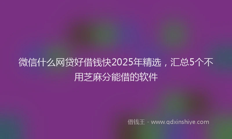微信什么网贷好借钱快2025年精选，汇总5个不用芝麻分能借的软件